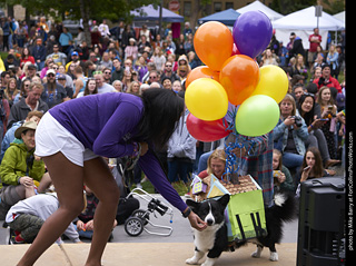 Tour de Corgi - Costume Contest - Up House