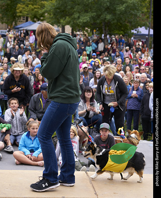 Tour de Corgi - Costume Contest - Pup Corn