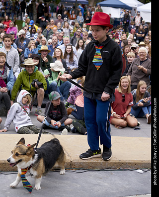 Tour de Corgi - Costume Contest