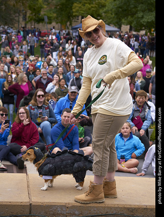 Tour de Corgi - Costume Contest - Dragon