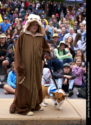 Tour de Corgi - Costume Contest