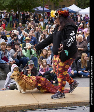 Tour de Corgi - Costume Contest - Fall