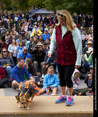 Tour de Corgi - Costume Contest