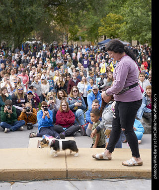 Tour de Corgi - Costume Contest - Unicorn