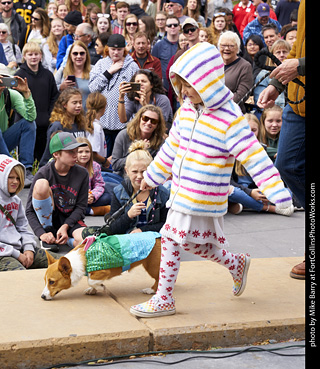 Tour de Corgi - Costume Contest