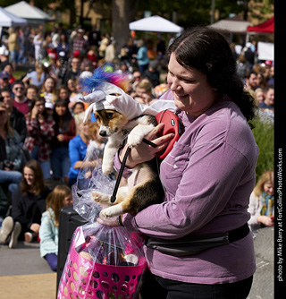 Tour de Corgi - Costume Contest - Winners