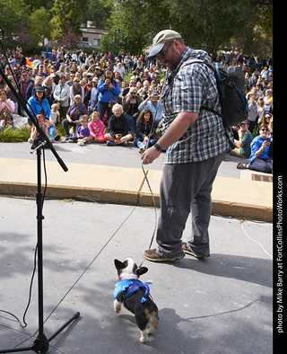 Tour de Corgi - Costume Contest - Dragon
