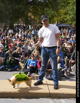 Tour de Corgi - Costume Contest - Pupcorn