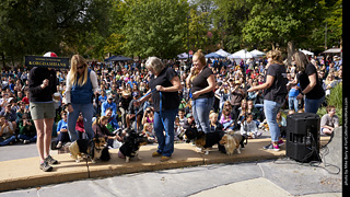 Tour de Corgi - Costume Contest - Korgdashians