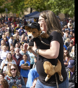 Tour de Corgi - Costume Contest - Korgdashians