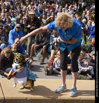 Tour de Corgi - Costume Contest - Beach Dog
