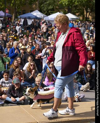 Tour de Corgi - Costume Contest - Cupcakes
