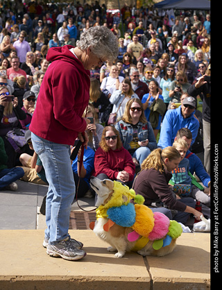 Tour de Corgi - Costume Contest - Caterpillar
