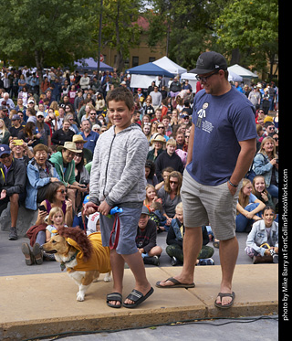 Tour de Corgi - Costume Contest - Lion