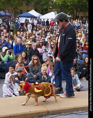 Tour de Corgi - Costume Contest - Turkey