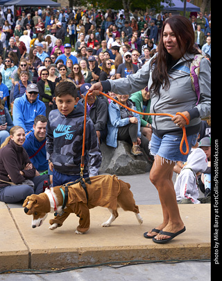 Tour de Corgi - Costume Contest - Scooby Doo