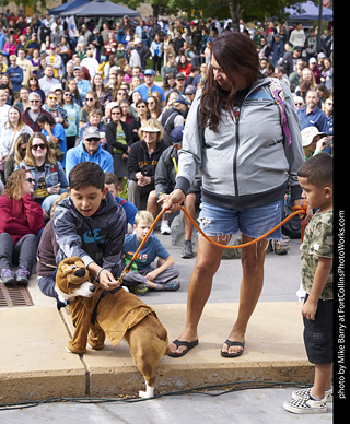 Tour de Corgi - Costume Contest  - Scooby Doo