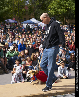 Tour de Corgi - Costume Contest - Superman