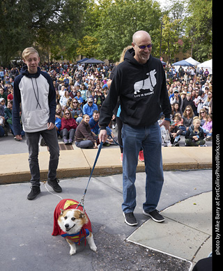 Tour de Corgi - Costume Contest - Superman