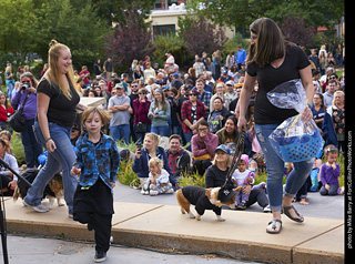 Tour de Corgi - Costume Contest - Korgdashians
