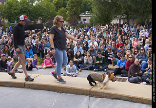 Tour de Corgi - Costume Contest - Korgdashians