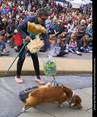 Tour de Corgi - Costume Contest - Corgi Rhumba