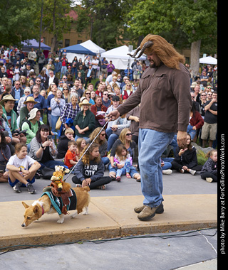 Tour de Corgi - Costume Contest - Labyrinth