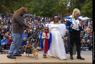 Tour de Corgi - Costume Contest - Labyrinth