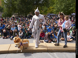 Tour de Corgi - Costume Contest - Wizard of Oz