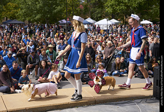 Tour de Corgi - Costume Contest - Stranger Things