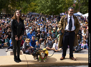 Tour de Corgi - Costume Contest - Batman