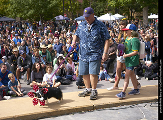 Tour de Corgi - Costume Contest - Demogorgon