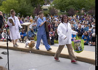 Tour de Corgi - Costume Contest #3