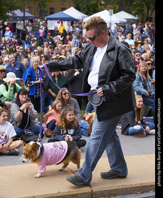 Tour de Corgi - Costume Contest - Pink Ladies