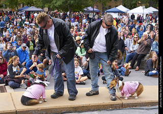 Tour de Corgi - Costume Contest - Pink Ladies