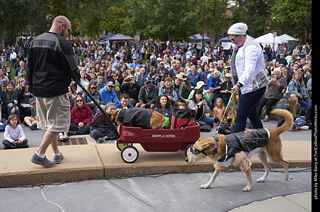 Tour de Corgi - Costume Contest - Bikers