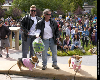Tour de Corgi - Costume Contest - Pink Ladies