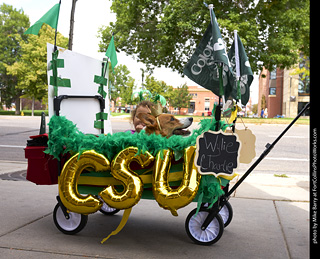 Tour de Corgi - Tour #1