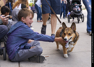 Tour de Corgi - Tour #1