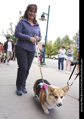 Tour de Corgi - Tour #1