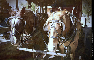 Old Tucson Stagecoach