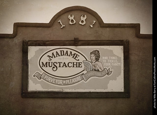 Madame Mustache Purveyor of Pleasure