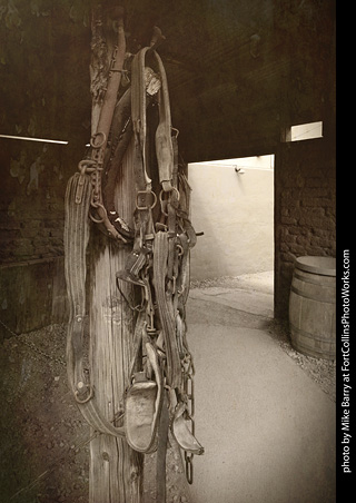 Tack in Tombstone, Arizona