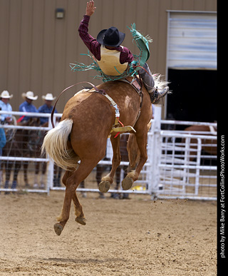 Never Summer Rodeo - Bareback Riding