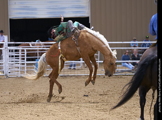 Never Summer Rodeo - Bareback Riding
