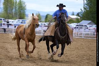 Never Summer Rodeo - Bareback Riding