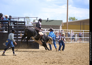 Never Summer Rodeo - Bull Riding