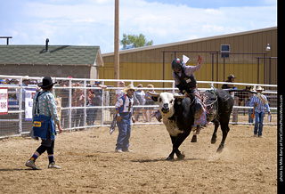 Never Summer Rodeo - Bull Riding