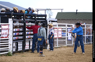 Never Summer Rodeo - Bull Riding