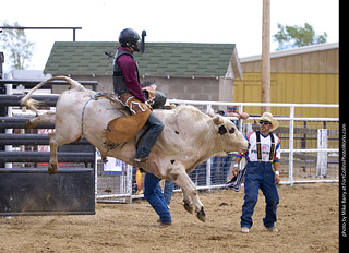 Never Summer Rodeo - Bull Riding